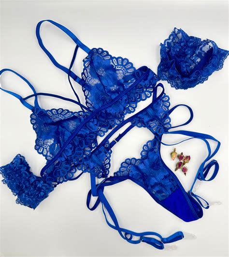 Blue Lingerie Set Sheer Lace Lingerie Transparent Lingerie Garter Belt Embroidered Lingerie