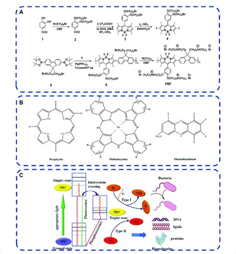 A Synthesis Route Of Water Soluble Polymer PBF Gontsarik Et Al