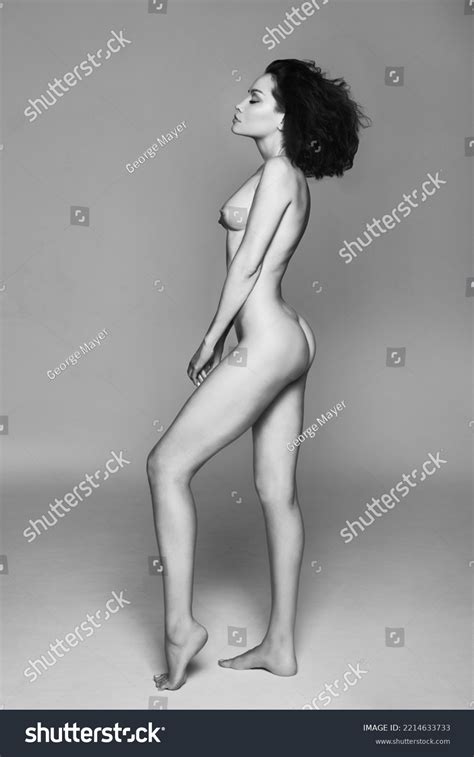 Art Portrait Beautiful Nude Woman Sexy Stock Photo Shutterstock