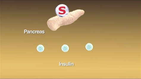 Sulfonylureas: What Are They and How Do They Work? (With images ...