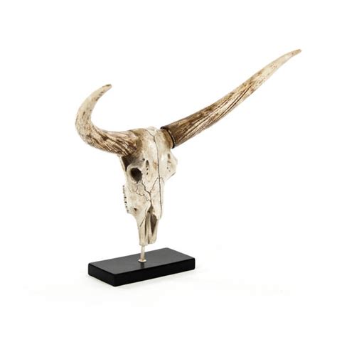 Zentique Bull Skull Wall Décor | Wayfair