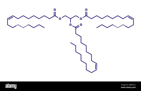 Olive Oil Triglyceride Example Of An Olive Oil Triglyceride