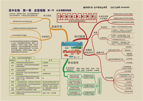 高中生物思维导图 知乎