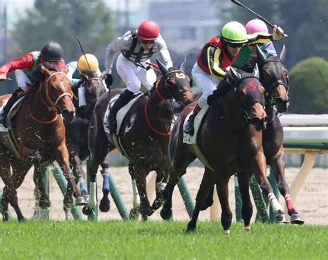 ホーリーエンブレムがデビュー3戦目で初勝利 田村師「勝ってくれないと困る」／東京4r 3歳馬特集写真ニュース 日刊スポーツ