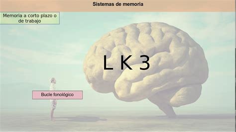 Neuropsicolog A De La Memoria Introducci N Youtube