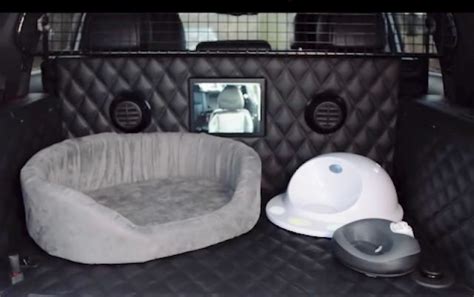 Check Out The Car Designed For Dog Owners - iHeartDogs.com