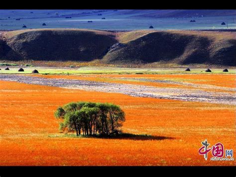 Greater Khingan Mountains in autumn Ⅰ China org cn