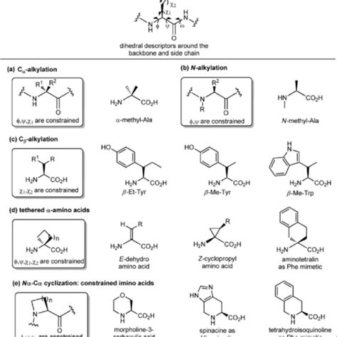 Panel Of Different Synthetic Approaches For Constraining The Backbone