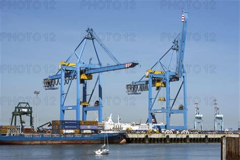 Gantry Cranes Photo12 ImageBROKER Alimdi Arterra