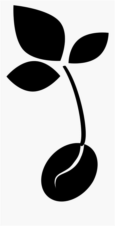 Transparent Plant Sprout Clipart Seedling Black And White Free