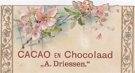 Chromo Cacao Driessen Rotterdam Spray Of Blossom Top Of Flickr