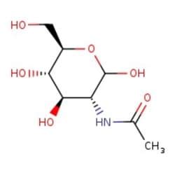 N Acetyl D Glucosamine 100 MP Biomedicals Fisher Scientific