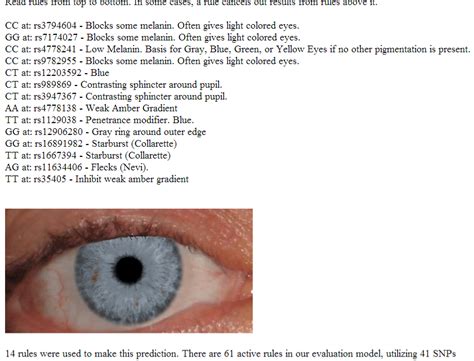 Eye Probability Chart - Minga