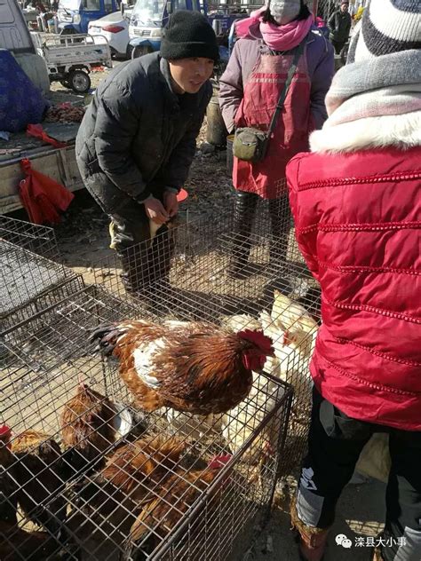 寒亭区各乡镇大集寒亭区乡镇大集时间表寒亭区大集时间地点第11页大山谷图库