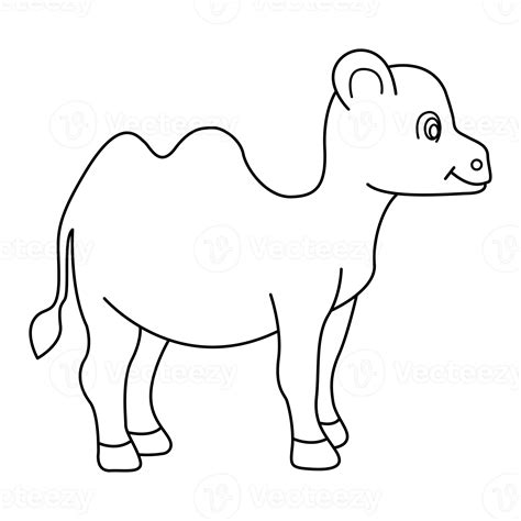 Camel outline vector cartoon design on transparent background 9592733 PNG