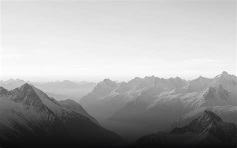 Focus HQ Brand Relaunch | Case Study | Swiss Professionals