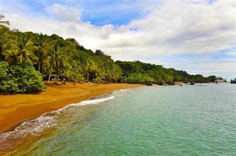 Un Para So Llamado Nuqu Donde El Mar Y La Selva Se Unen