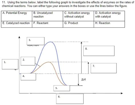 Solved 11 Using The Terms Below Label The Following Graph To Investigate The Effects Of