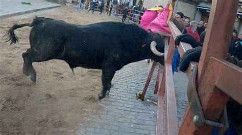 El Toro Bravo Levanta la Talanquera Villacastín 2023 YouTube