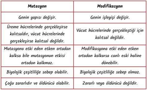 Mutasyon Ve Modifikasyon Fen O Fen