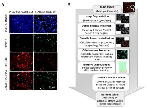 Harmony High Content Analysis Software Perkinelmer Bioz