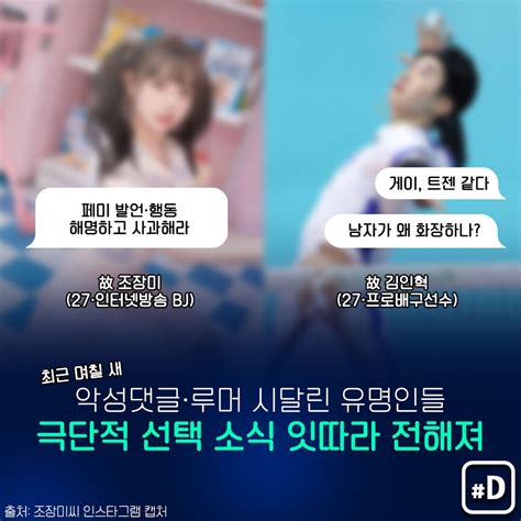 [포켓이슈] 사이버불링의 끝…설리법은 언제 나무뉴스