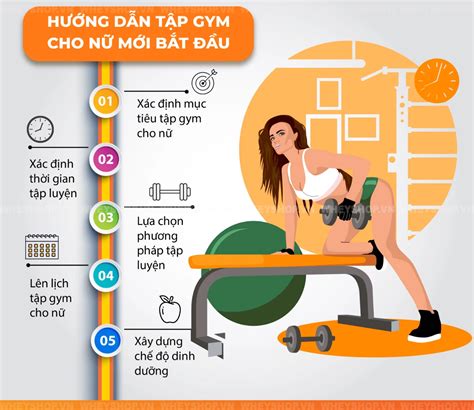 Hướng Dẫn Chi Tiết Lịch Tập Gym Cho Nữ Cho Người Mới Bắt đầu