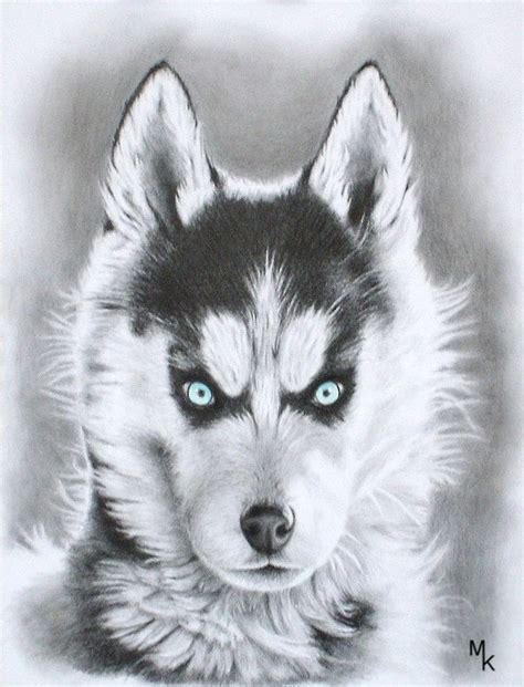 Siberian Husky Husky Hund Zeichnungen Surreal Von Malik Bei KunstNet