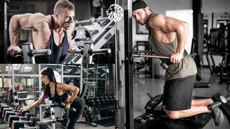 Do These Three Exercises For Stronger Triceps Angry Lion Fitness