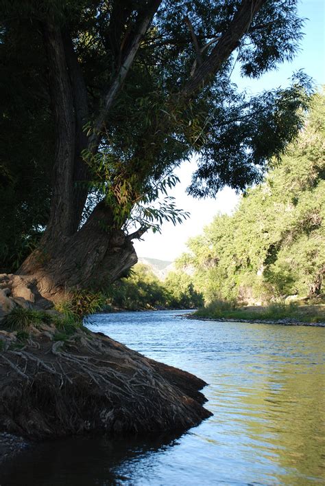 What to do in Cañon City: Hiking and Biking - Echo Canyon Rafting