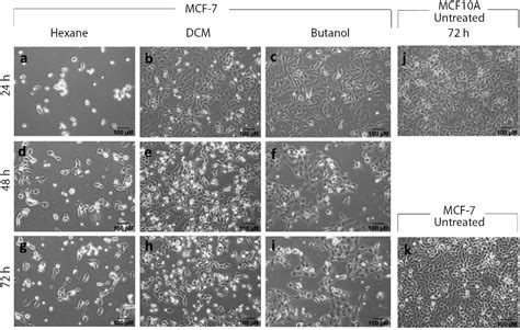 Figure 1 From Low Cytotoxicity And Antiproliferative Activity On