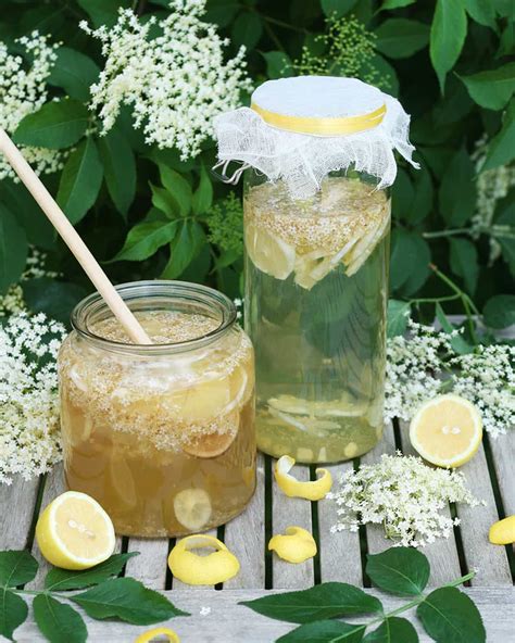 Limonade maison au sureau Booste ta santé