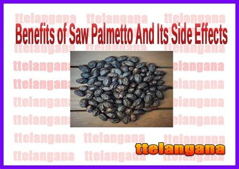 Benefits of Saw Palmetto And Its Side Effects