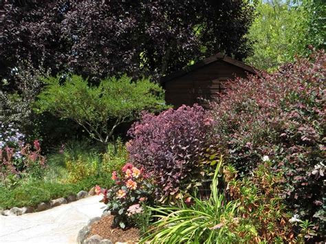 Colorful Habitat Garden In Woodacre Native Plant Nursery Novato Home Ground Habitats