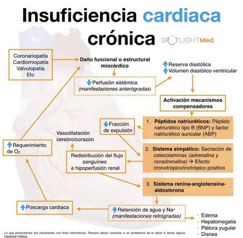 Fisiopatologia De Insuficiencia Cardiaca Cronica Medicina De