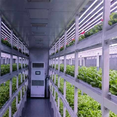 Smart Farm Vertical Farming Hydroponic Growing Shipping Container Farm