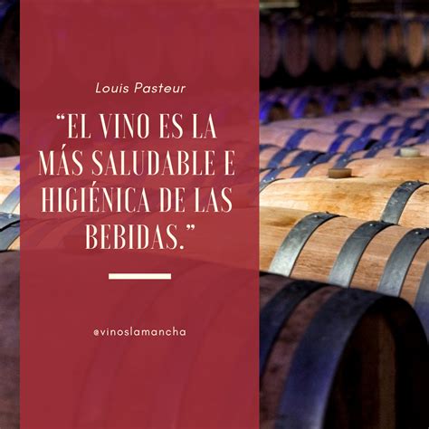 Pin En Frases De Vino