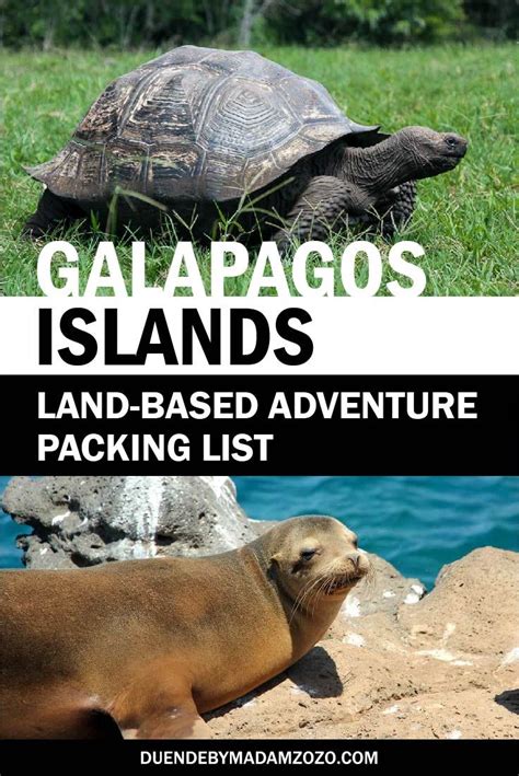 Best Galapagos Packing List For Island Hopping Adventure Galapagos