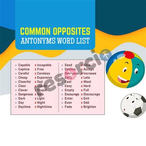 Common Opposites Antonyms Word List - Template 05