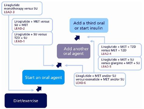 Liraglutide Therapy For Type 2 Diabetes Overcoming Unmet Needs