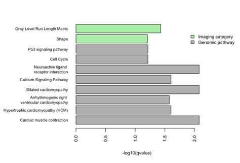 Associations Between Imaginggenomic Features And Clinical Outcome