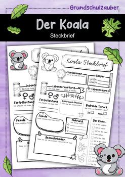 Koala Steckbrief Tiere German By Grundschulzauber Tpt