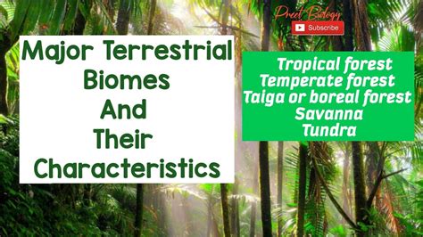 Major Terrestrial Biomes And Their Characteristics YouTube