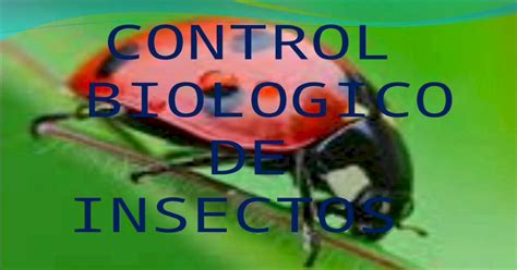 Control Biologico De Onsectos Ppt Powerpoint