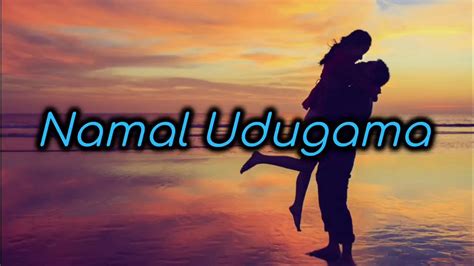 Sihina Malehi Nurawe සිහින මලෙහි නුරාවි Lyrics Video Namal Udugama