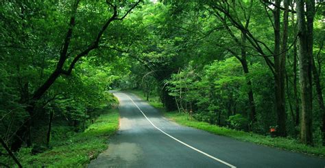 Trip to Valparai | National parks, Tour packages, Day tours