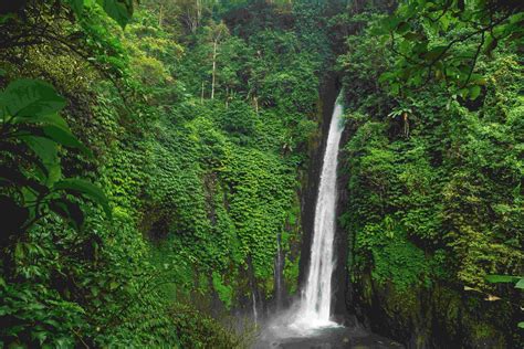 The Munduk Waterfall Trek Laangan Melanting And Golden Valley