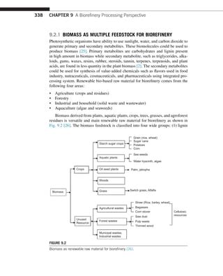 Chapter 9 A Biorefinery Processing Polymers Production PDF