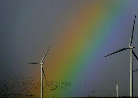 Colorado Rainbow Photograph By Tom Strutz Fine Art America