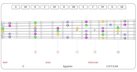 All Guitar Scale Charts in One Tool | Electric Herald